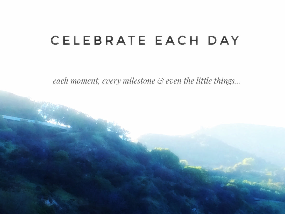 celebrate each day, each moment, every milestone and even the little things