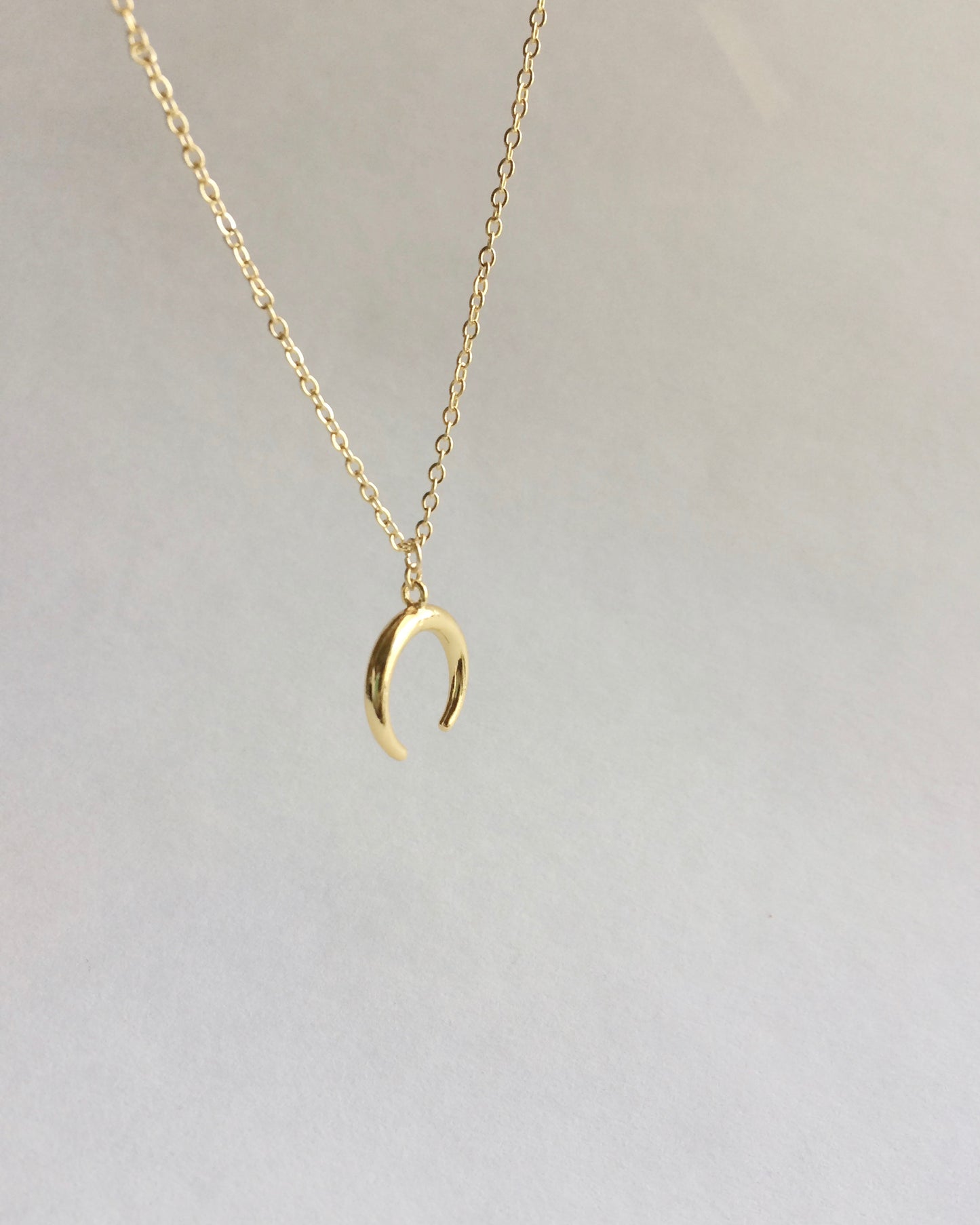 Crescent Moon Double Horn Necklace | Upside Down Horn Necklace | IB Jewelry